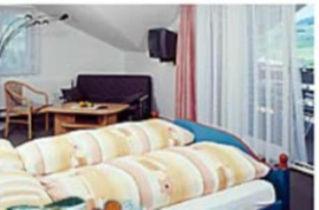 Hotel Freudenberg 阿彭策尔 外观 照片